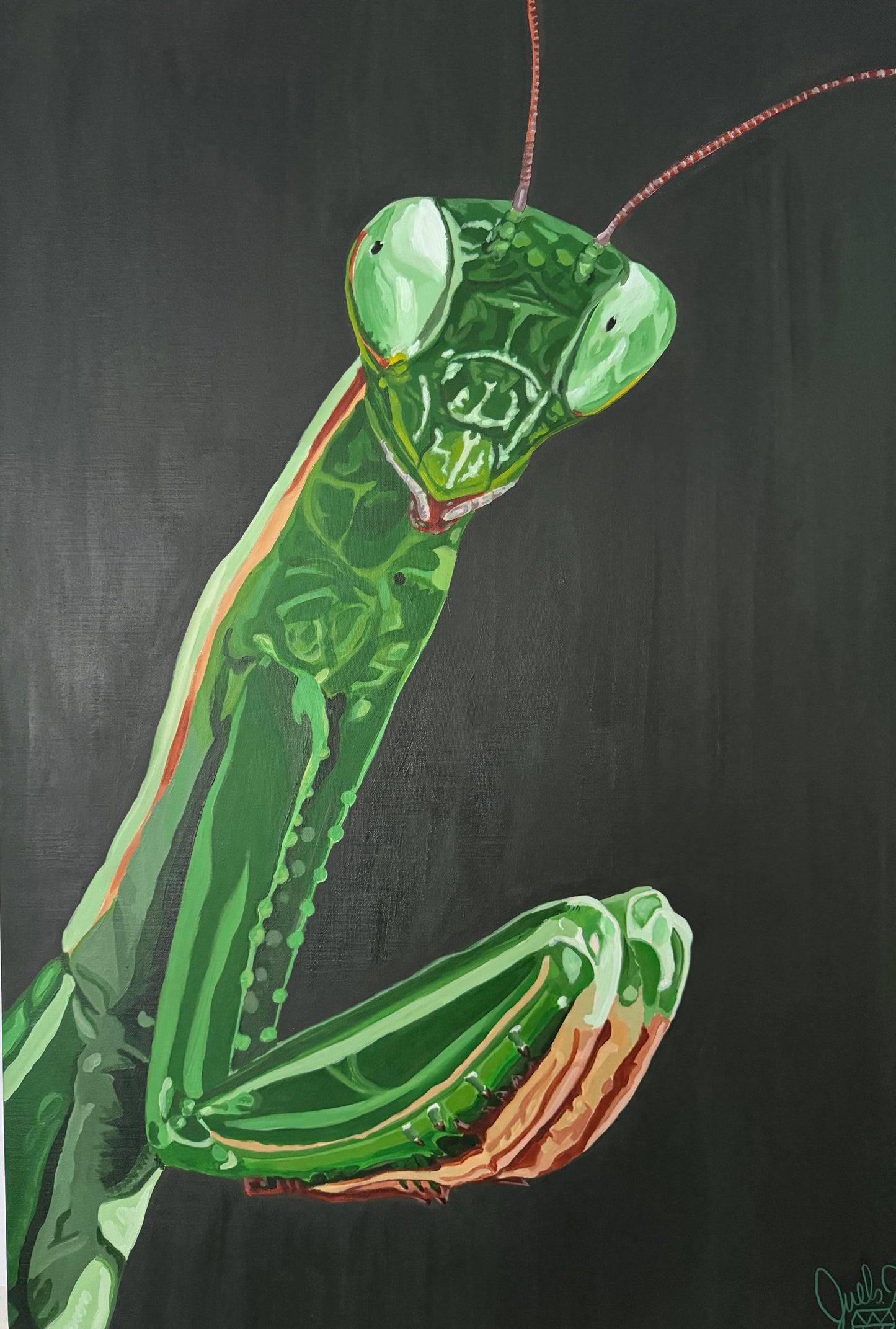 Mantis