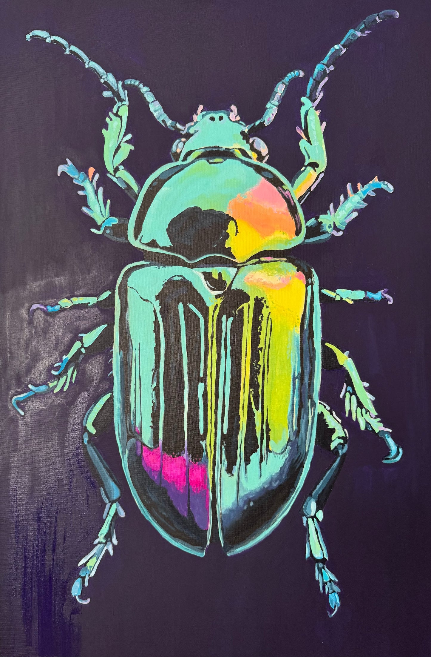Chrissi beetle